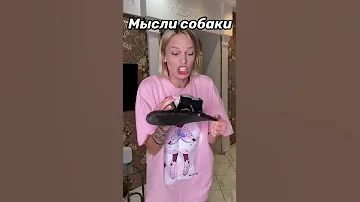 Tik-Tok: Мысли собаки 🐶