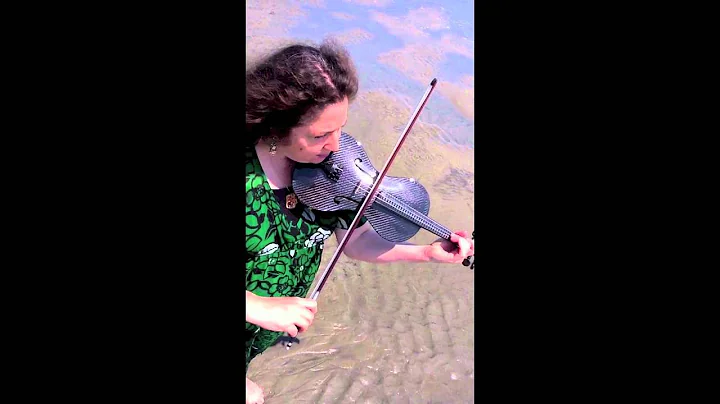"Rage" by Lisa Ralia Heffter; Laura Goldberg, viol...