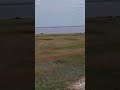 Вояж по Алтайскому краю на велосипеде 3.3. Бурлинское озеро.