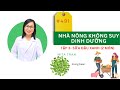 #491. NHÀ NÔNG KHÔNG SUY DINH DƯỠNG - Tập 3 - Sữa đậu xanh (mung bean milk)