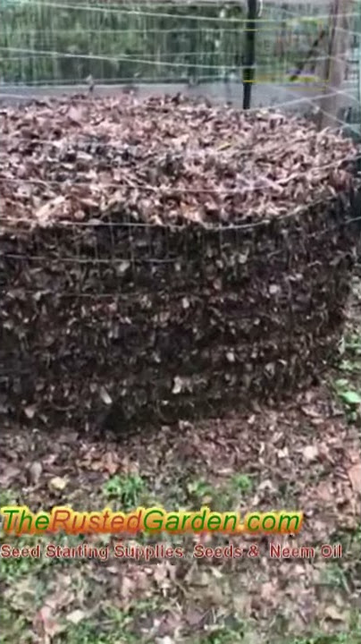 How to Make Leaf Mold for Mulch, Castings & Compost: 60 Seconds or Sow Garden Videos #shorts