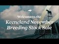 Keeneland Live Feed