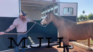 Hard to load horse- How To-Part 1