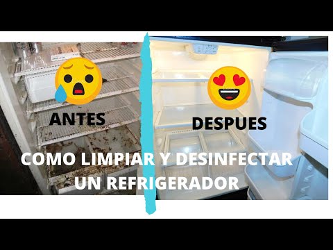Video: Cómo Y Con Qué Lavar El Refrigerador Por Dentro Y Por Fuera: Luchamos Contra El Olor Y Otros Problemas