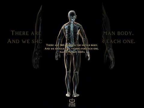 360 Joints In The Human Body Prophet ﷺ Said It 1400 Years Ago Science Confirms IslamicShorts