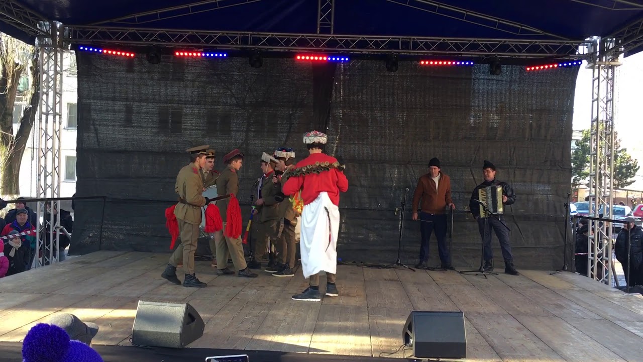 Căluț Bodeasa 31:12:219.