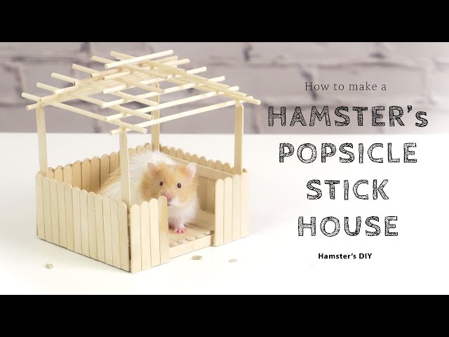 DIY Two-Story Popsicle Stick Apartment Tutorial (For Dwarf Hamsters) –  Beanie the Hamster