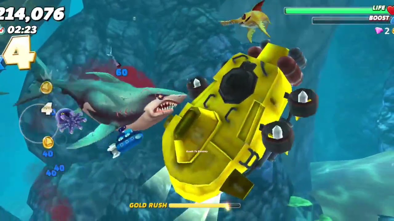 hungry shark world grate white shark