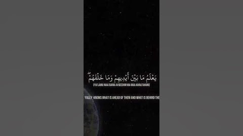 سورة الكرسي #راحة_نفسية #ياسر_الدوسري #المصحف #قرآن #ترند