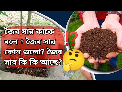 ভিডিও: জৈব সংগ্রহ কি একটি উদাহরণ দিতে?