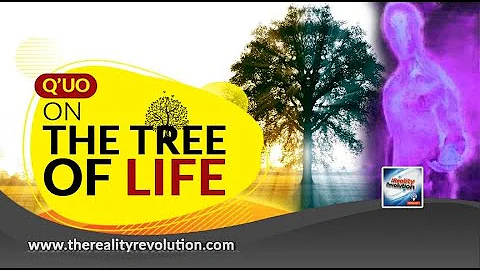 Q'uo On The Tree Of Life