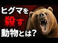 【衝撃】最強生物のヒグマさえ餌にする化け物たち5選
