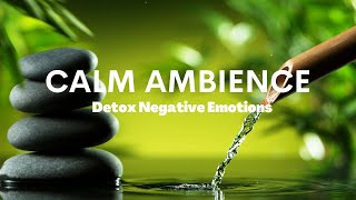 4K A Calming Soundscape for Relaxation | Relaxing music | Detox Negative Emotions | Vibes of Veda