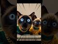 🐶Dog vs 🐱Cat 💥 Curry City Disaster! 🌶️😂