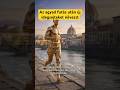 Az agyad futás után új idegsejteket növeszt