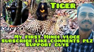 Debrigarh wildlife sambalpur #wildlife #animals #viral #shortsvideo #dance #dangerous #pakistan#baby