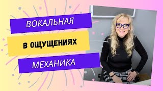 🗣 Элементы вокальной позиции в ощущениях - Урок Вокала для начинающих