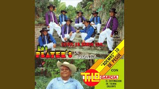 Video thumbnail of "Los Player's de Tuzantla - Carta de Luto"