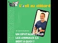 Saison 1 episode 1 un ophtalmo pour les animaux a sert  quoi  avec laurent bouhanna