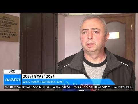 ქედის მერმა ერთი წლის ანაგარიში წარადგინა