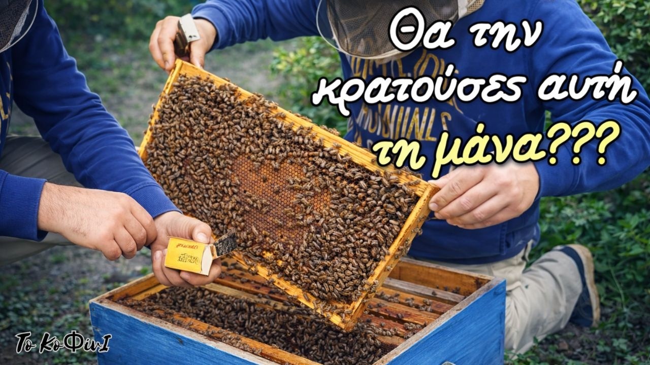 Ο άρρωστος, ο ζόρικος και το σπιρτόκουτο | Μελισσοκομία 2026 | Το ΚοΦίνΙ