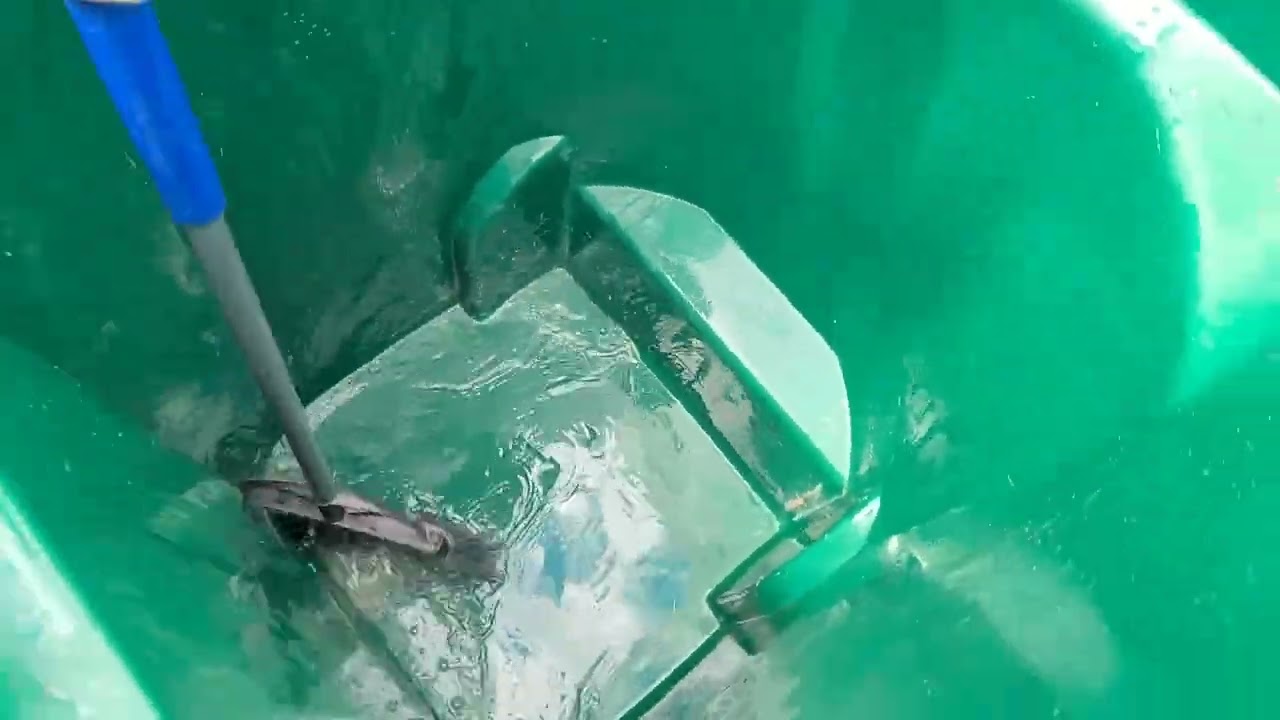 comment nettoyer la poubelle  #cleaningmotivation #how #top #clean #comment #nettoyage #usa #congo #