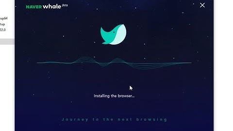 Whale browser