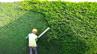 Impresionantes Trabajos De Jardinería Que No Podrás Dejar De Ver