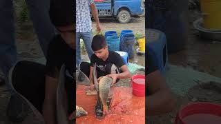 Amazing Fish Cutting Easy Method By Expert Fish Cutter EP- 33 #shorts #shortsfeed #fishcutting