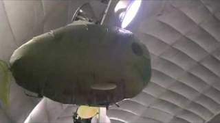 fish blimp
