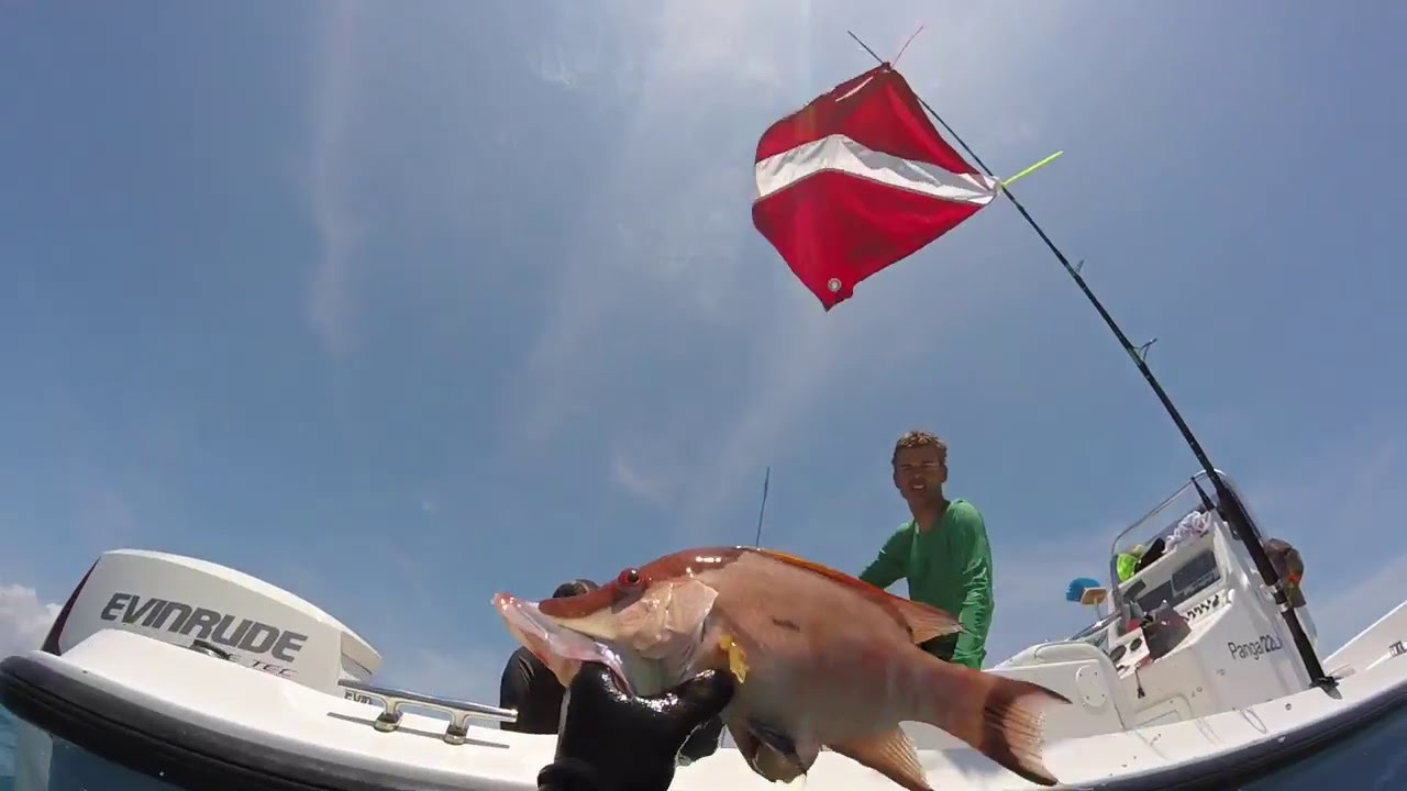 Spearfishing Florida Keys 2016 YouTube
