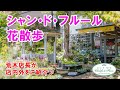 【ご紹介】シャン・ド・フルール 花散歩♪【荒木店長が店内外をご紹介!!】