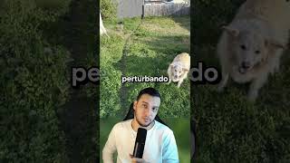 Coisas que SOFREM com o poder do tempo