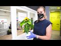 HEO2021 /// „Sag's durch die Blumen!" mit Barbara Schett & Pflanzmich