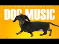 Music For Dachshund ~ Music for Dogs to relax ~ Dog Music to Sleep