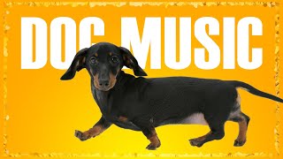 Music For Dachshund Music For Dogs To Relax Dog Music To Sleep