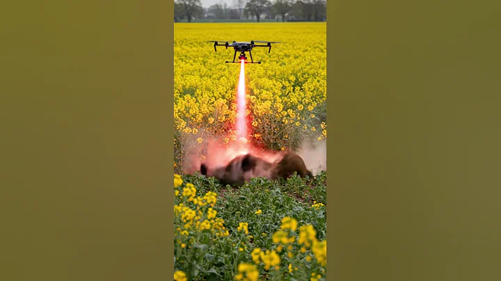 Drones will eliminate wild boars that destroy crops #villagelife #smartfarming #farming101