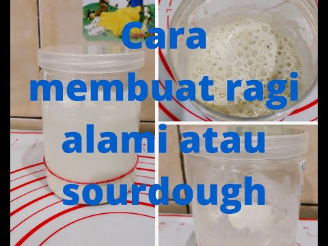 Video: Kvass pada sourdough tanpa ragi: resipi dengan foto