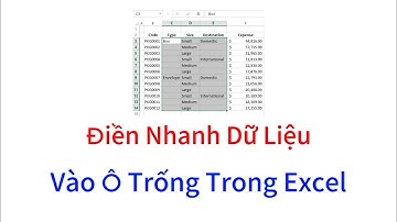 Cách Điền Nhanh Dữ Liệu Vào Ô Trống Trong File Excel | Tin Học Văn Phòng