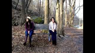 "Poison And Wine" - The Civil Wars (LullaNAs Cover)