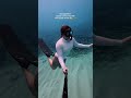 Where are all my ocean friends at?! ☺️🧜♀️ #ocean #hawaii #freediving #relatable