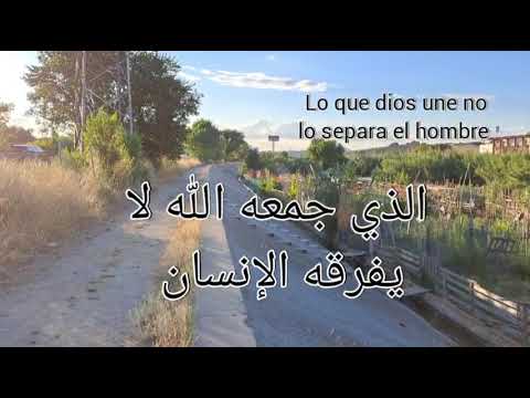 الذي جمعه الله لا يفرقه الإنسان