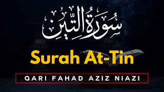 Beautiful Quran Recitation | Qari Fahad Aziz Niazi | Amazing Recitation Surah 095 At Tin | IIRCTV