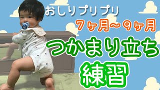 【生後９ヶ月赤ちゃん】長い道のり！つかまり立ちが出来るようになる瞬間パパ感動(baby standing by grabbing)