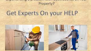 Danbury Cockroach Exterminator - Cockroach Removal Service in Danbury