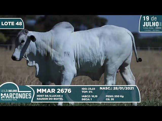 LOTE 48   MMAR 2676