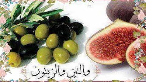 (والتين والزيتون)تلاوة رائعة❤