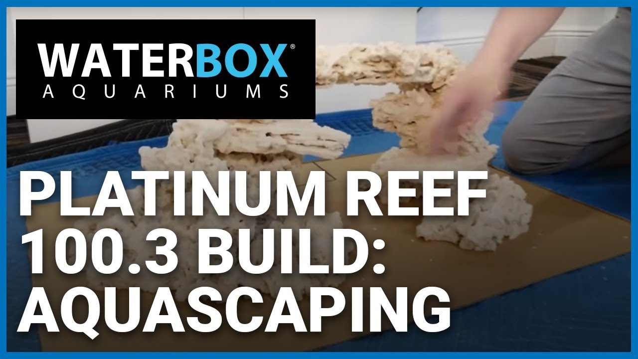 reef aquarium shop Waterbox Live: Aquascaping your Platinum Reef Aquarium with Marco Rocks