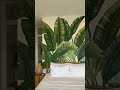 My mural in Tumbak Bayuh Canggu #muralartist #muralproject #mural #painting