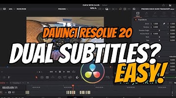 Davinci Resolve 20 - How to Burn Two Subtitles Tracks into One Video #davinciresolve